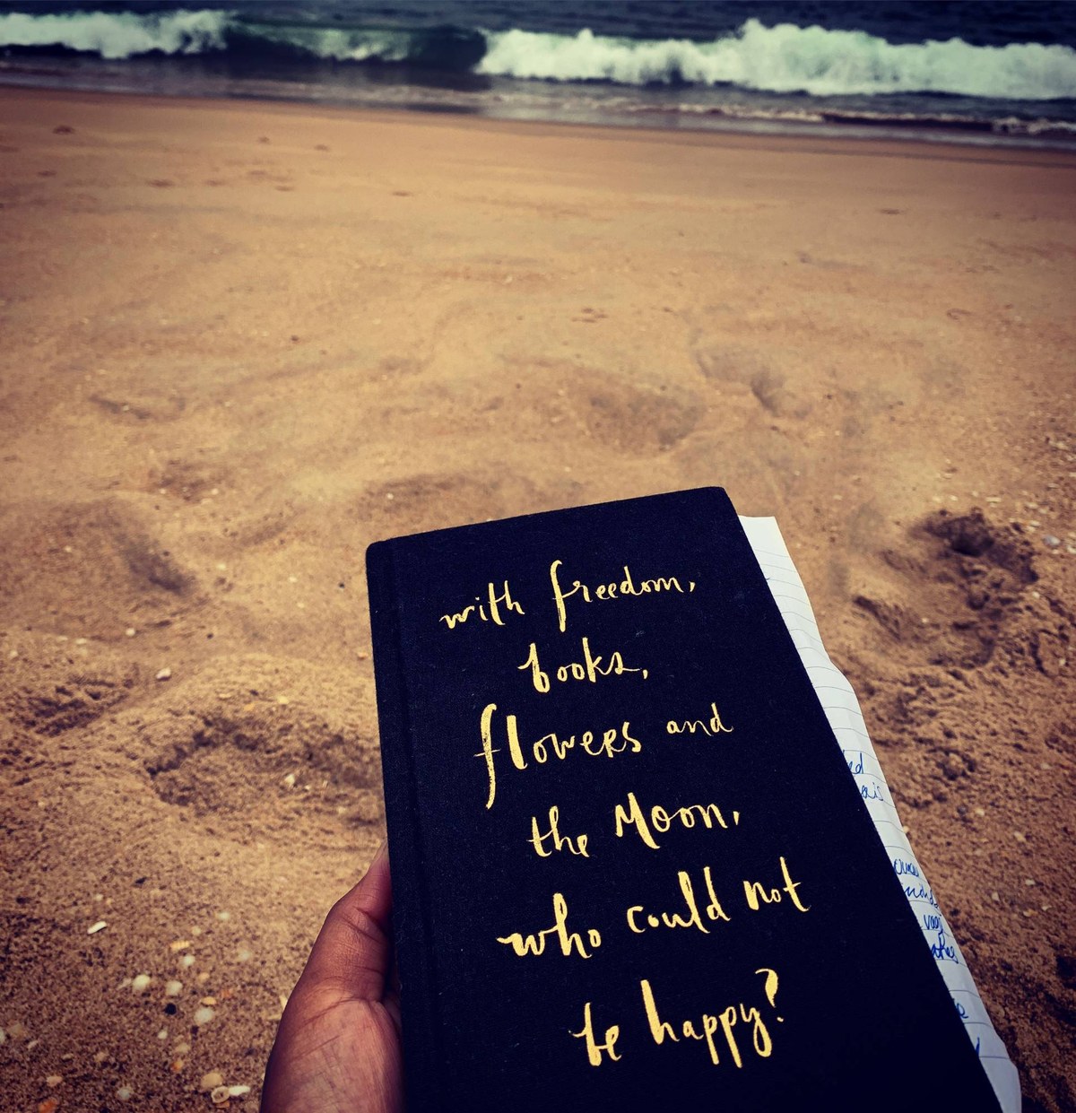 A journal on the beach: with freedom, books, flowers and the moon